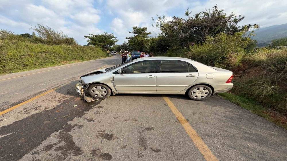 Osmaniye&rsquo;de kontrolden &ccedil;ıkan otomobil takla attı: 1 yaralı
