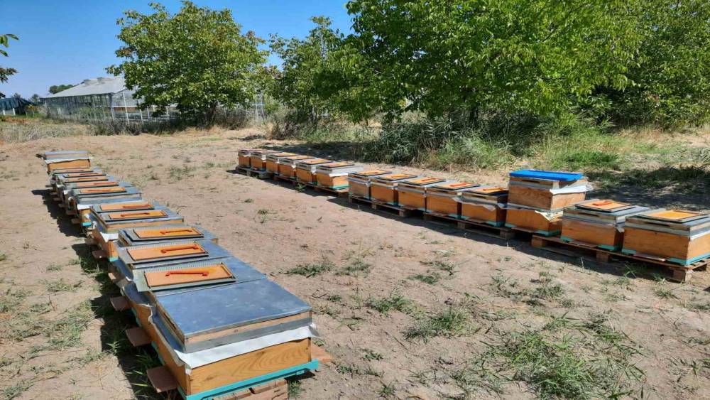&rsquo;S&uuml;per gıda&rsquo; arı s&uuml;t&uuml; Malatya&rsquo;da mercek atında
