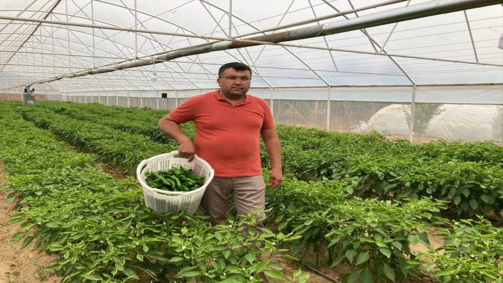 Lezzeti fiyatını unutturuyor
