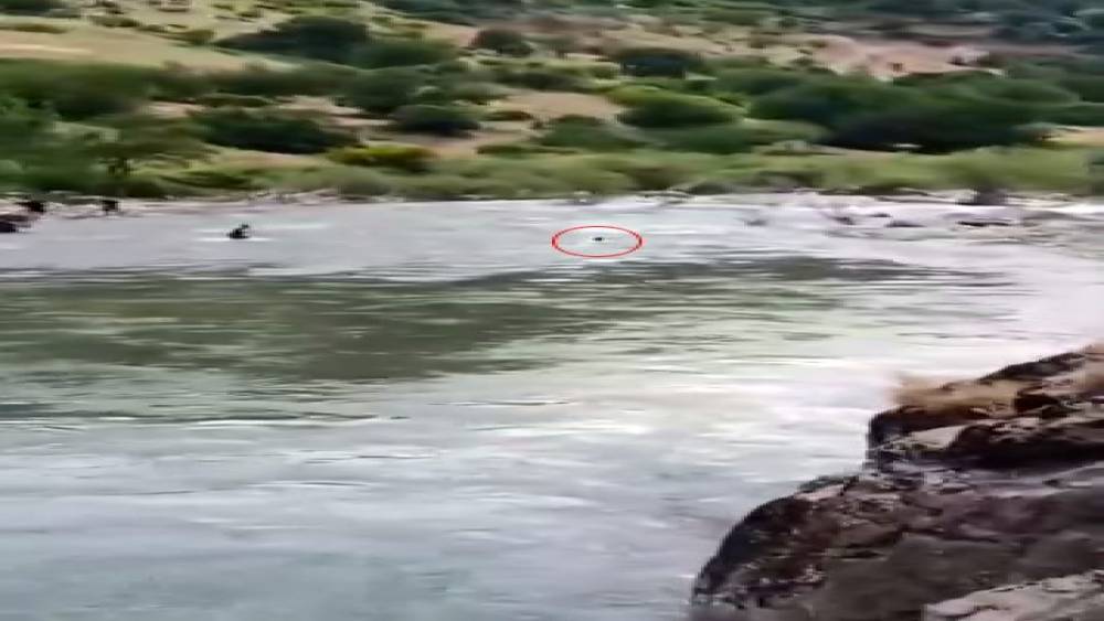 &Ccedil;ayda kaybolmuştu, akıntıya kapıldığı anlar kameraya yansıdı
