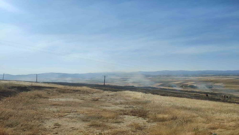 Elazığ&rsquo;daki yangında 40 d&ouml;n&uuml;ml&uuml;k arpa k&uuml;le d&ouml;nd&uuml;
