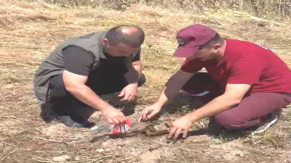 Emet&rsquo;te alevlerin arasından kurtarılan kaplumbağa y&uuml;rekleri ısıttı
