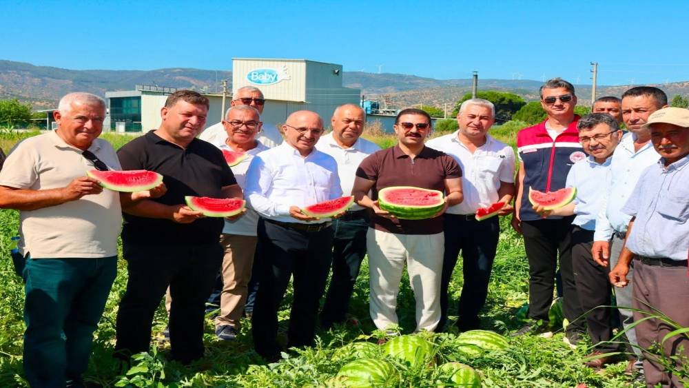 Cincin karpuzunda ilk hasat heyecanı yaşandı
