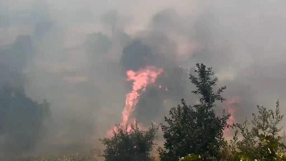 Diyarbakır&rsquo;da &ouml;rt&uuml; ve orman yangınında geniş alan zarar g&ouml;rd&uuml;

