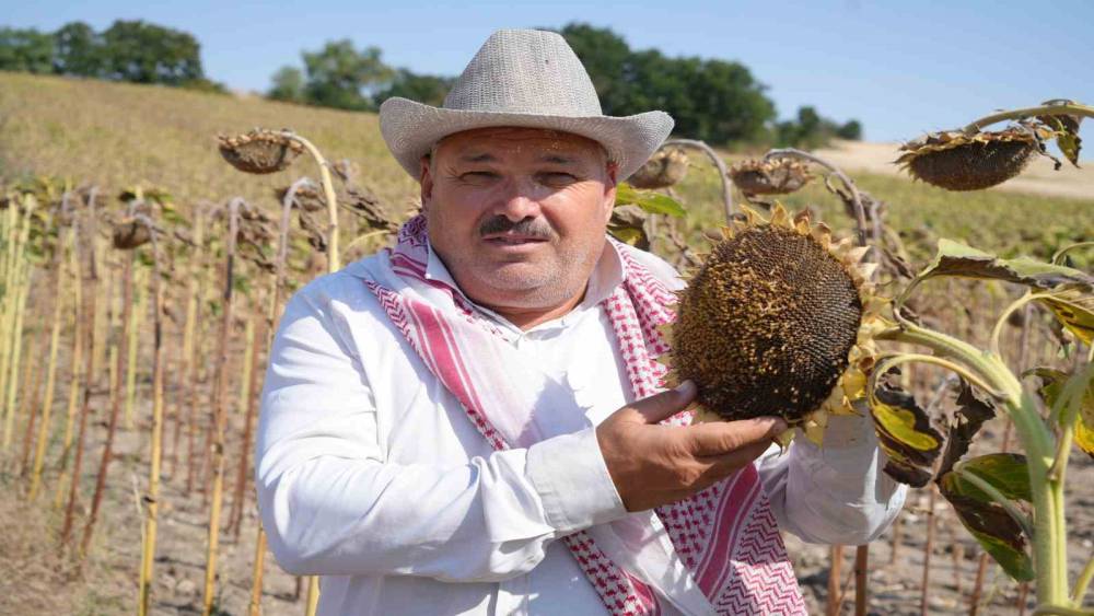 Edirne&rsquo;de ay&ccedil;i&ccedil;eği &uuml;reticisinin y&uuml;z&uuml; bu yıl verimle g&uuml;ld&uuml;
