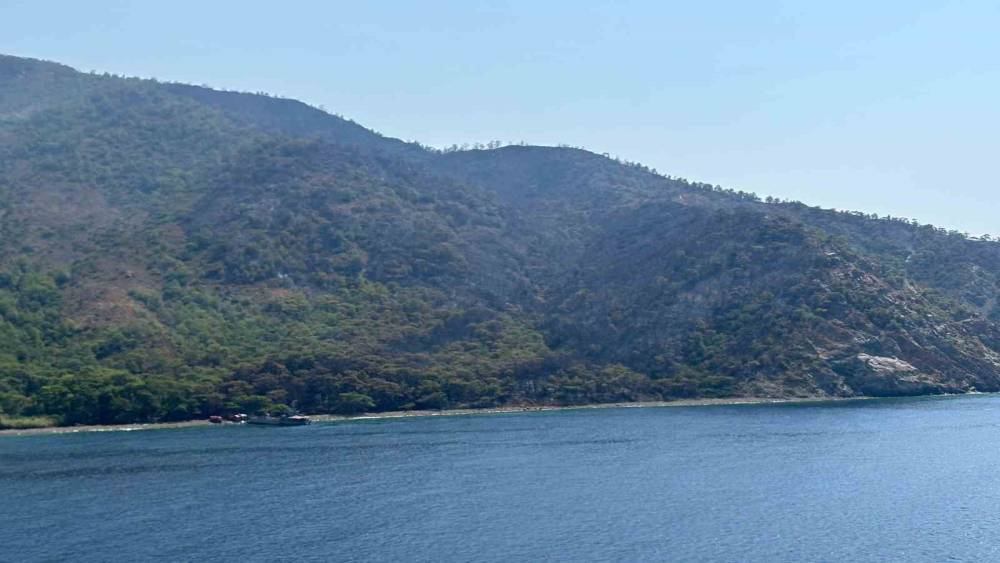 Marmaris&rsquo;teki orman yangını kontrol altına alındı
