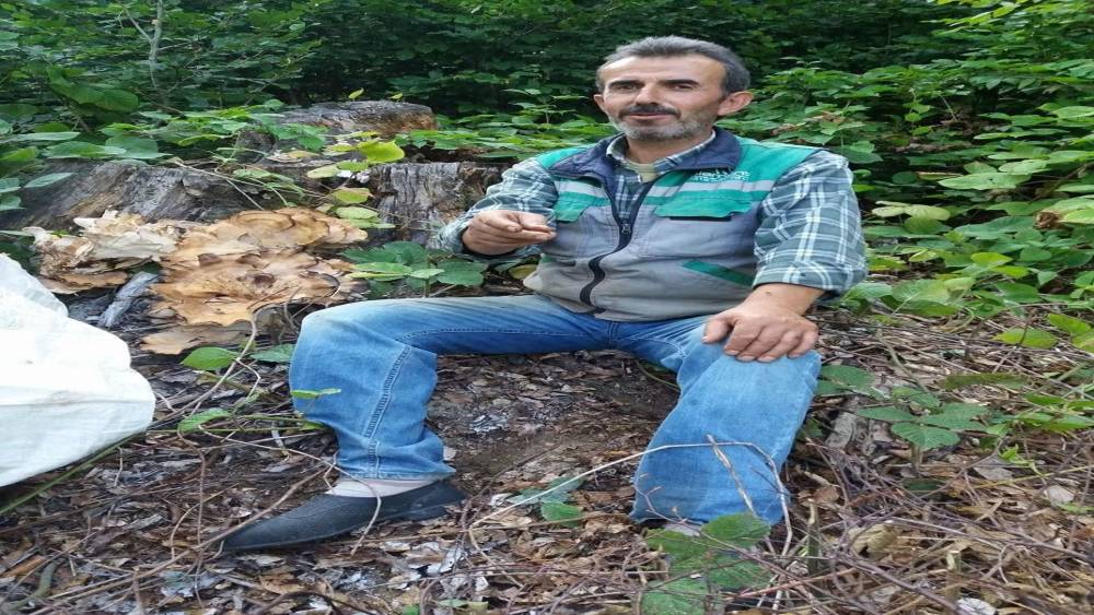 Sinop&rsquo;ta trakt&ouml;r devrildi, orman iş&ccedil;isi hayatını kaybetti

