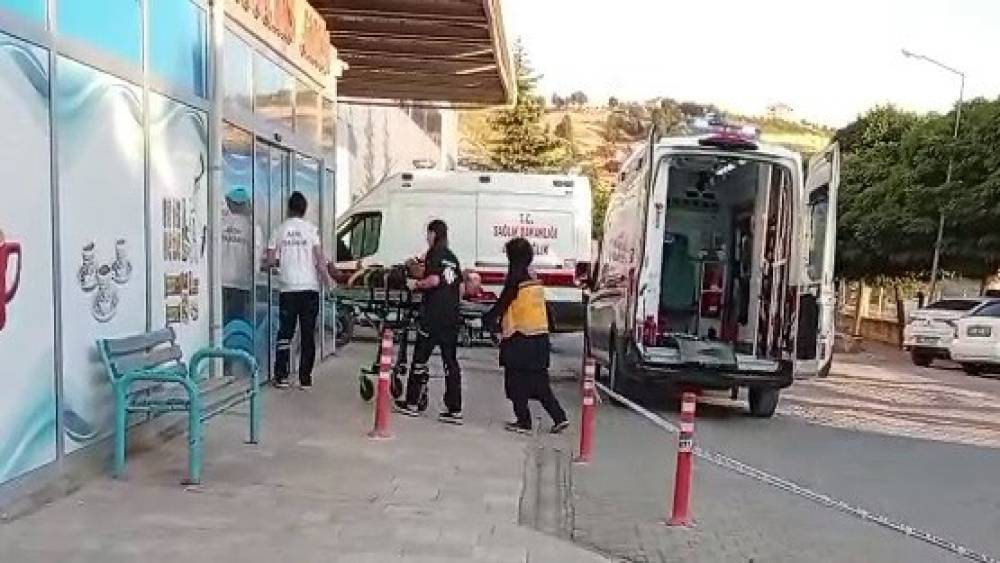 Ceviz ağacından d&uuml;şen kişi yaralandı
