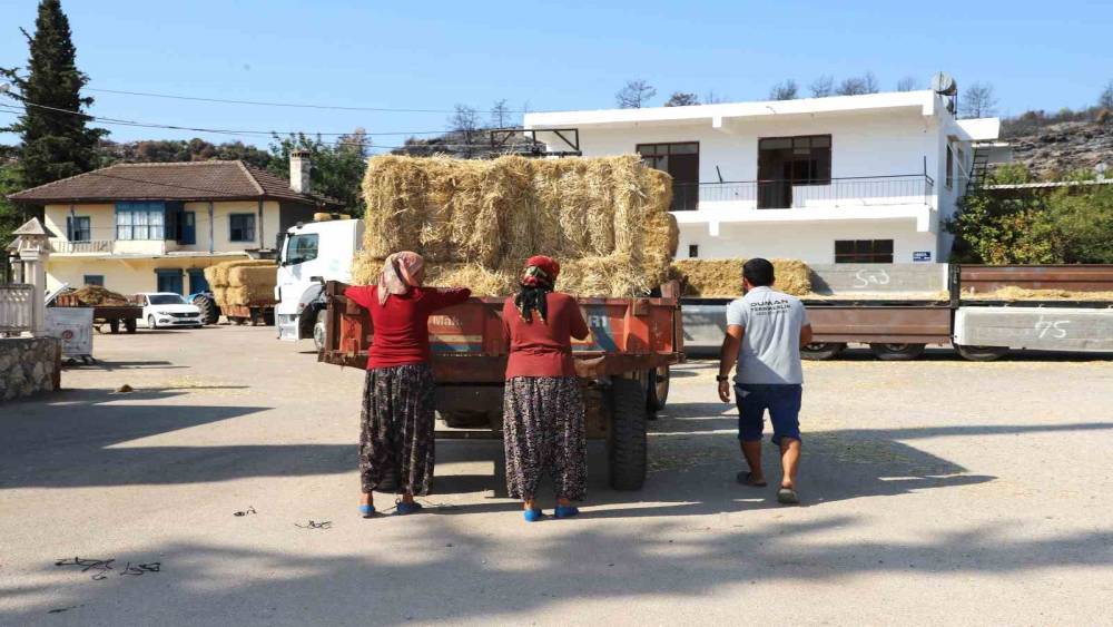 Aksu&rsquo;da yangından etkilenen b&ouml;lgelere saman desteği
