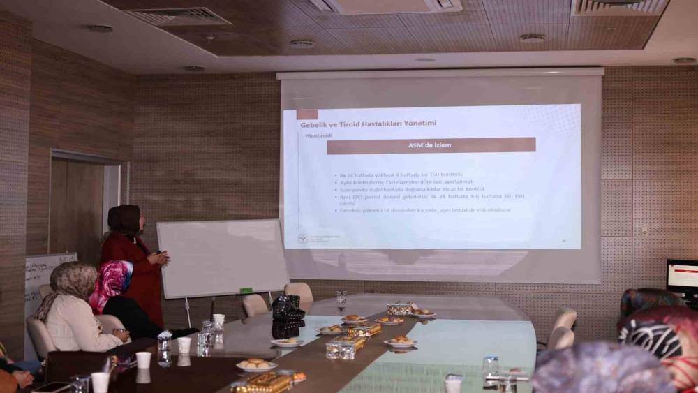 Bayburt&rsquo;ta sağlık personeline gebelik ve anne sağlığı eğitimi
