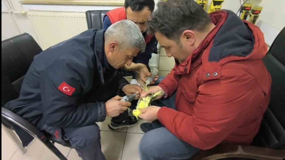 Şanlıurfa&rsquo;da papağanın ayağına sıkışan halhal itfaiye ekiplerinin operasyonuyla &ccedil;ıkarıldı
