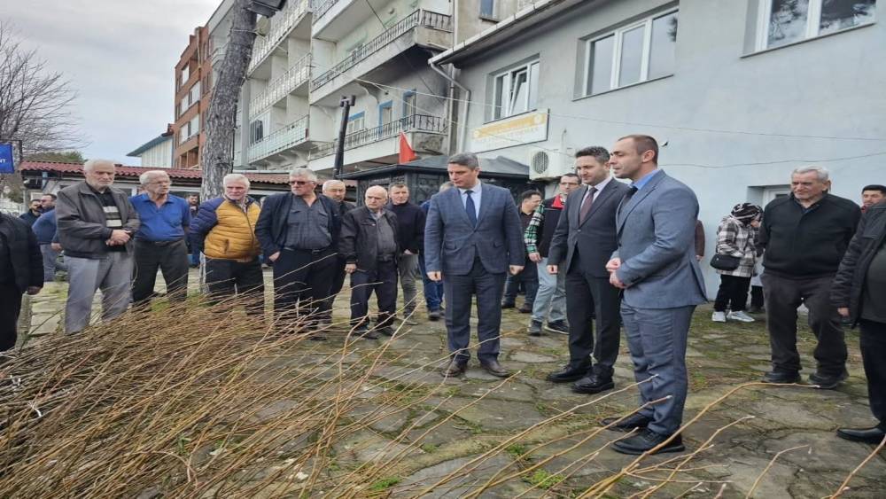 Sinop&rsquo;ta 900 fırıncık armudu fidanı dağıtıldı
