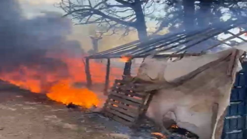 Mersin&rsquo;de seranın yanındaki barakada yangın paniği
