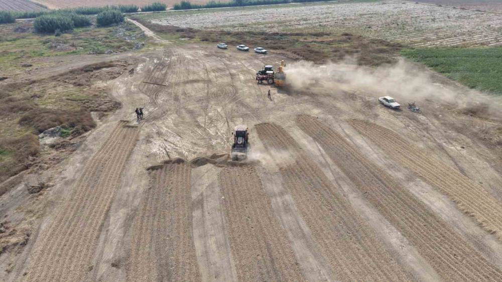 "T&uuml;ccar alım yapmıyor, yer fıstığında fiyat d&uuml;ş&uuml;yor"
