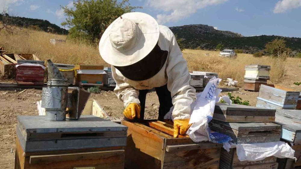Kilogramı bin 500 lira olan Malatya balı kısa s&uuml;rede t&uuml;kendi
