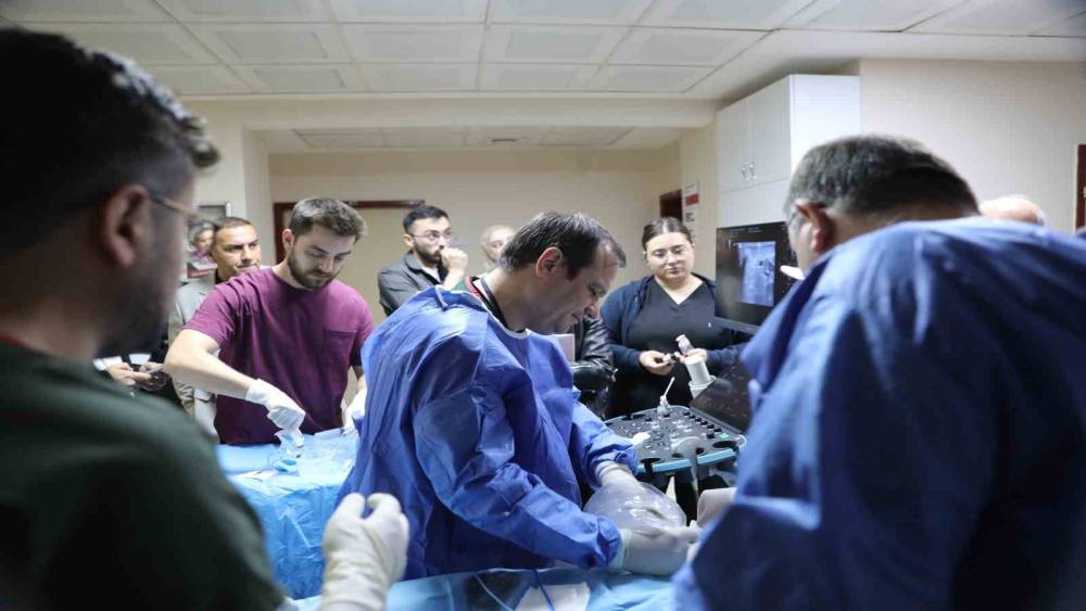 K&uuml;tahya&rsquo;da uluslararası hekimlere &rsquo;mikrodalga ablasyon&rsquo; eğitimi
