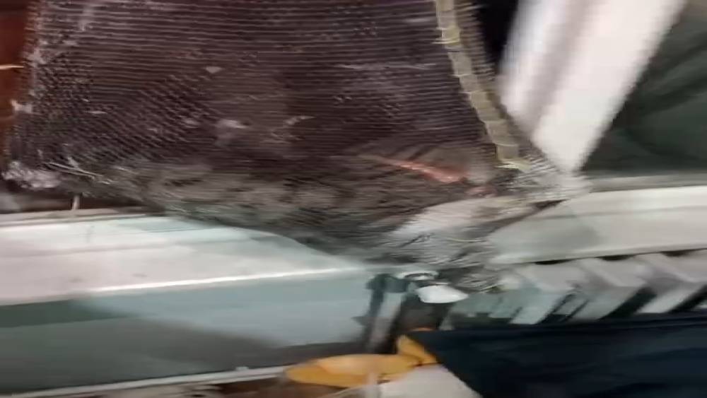 Apartman boşluğuna d&uuml;şen yavru kedi b&ouml;yle kurtarıldı

