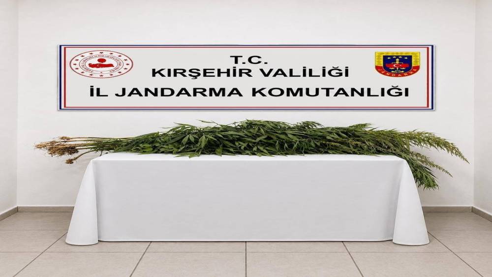 İkametlerde yapılan aramalarda 30 k&ouml;k uyuşturucu ele ge&ccedil;irildi
