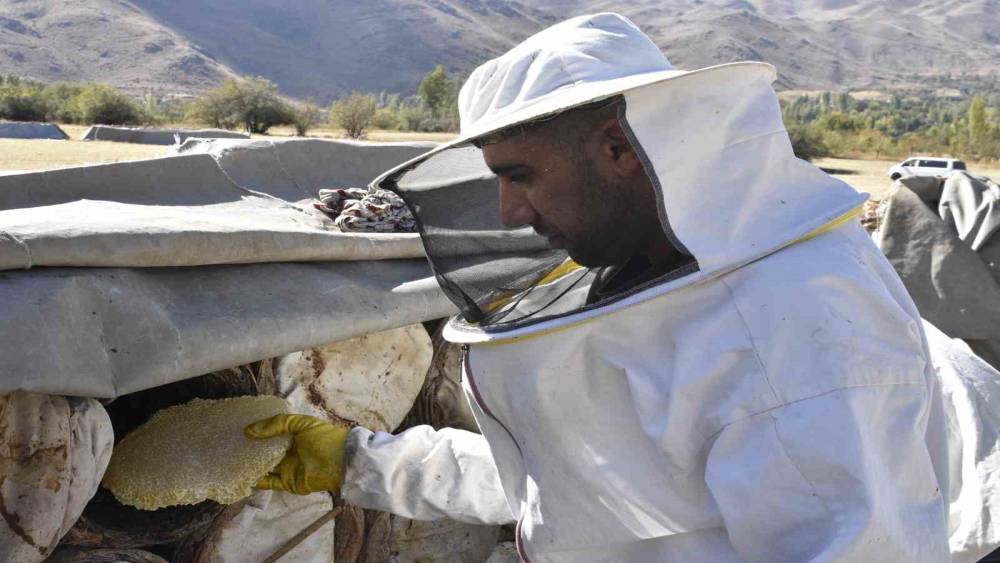Uluslararası ödüllü Bitlis karakovan balında hasat zamanı
