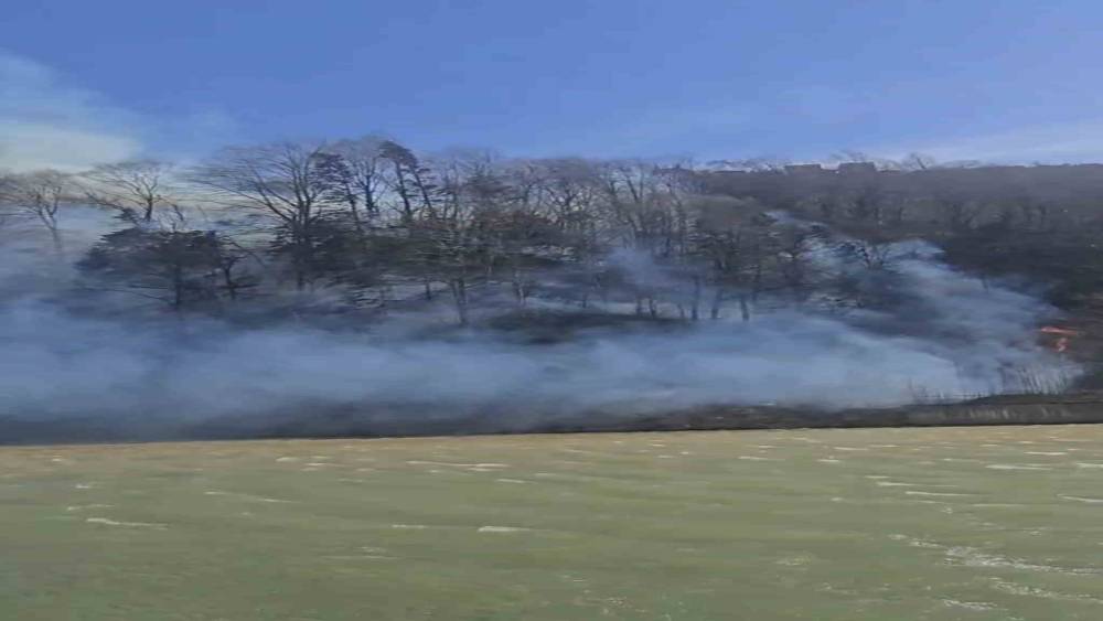 Trabzon&rsquo;da &ouml;rt&uuml; yangınları
