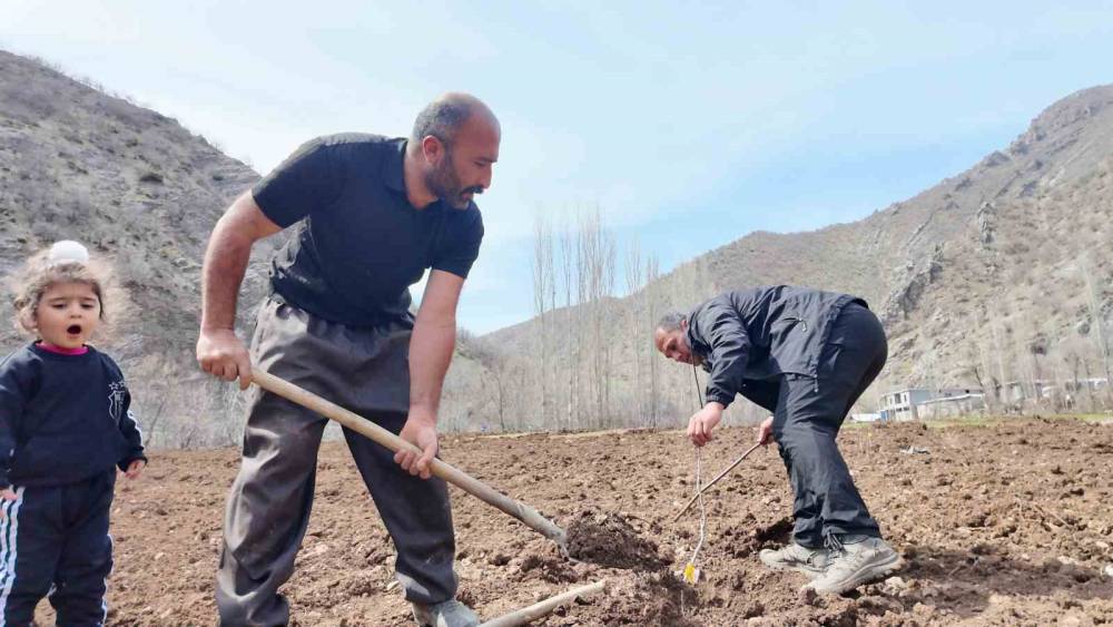 Şırnaklı &ccedil;ift&ccedil;i devlet desteğiyle b&uuml;t&uuml;n arazisine meyve fidanı dikti
