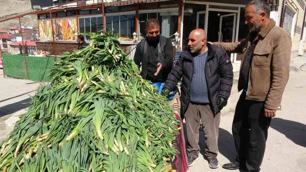 Van&rsquo;da şifa kaynağı &lsquo;&ccedil;iriş otu&rsquo; tezgahlardaki yerini aldı
