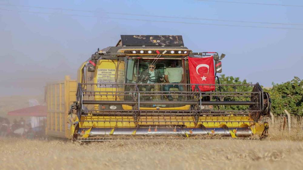 Vali Akkoyun: &rsquo;&rsquo;Mardin&rsquo;de 1 milyon 279 bin dekarlık alanda buğday ekimi yapıldı&rsquo;&rsquo;
