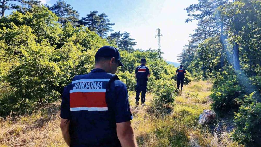 &Ccedil;anakkale&rsquo;de orman yangınlarına karşı jandarma ekipleri sahada
