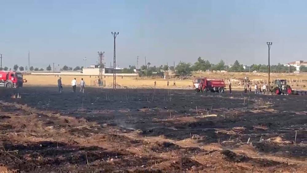 Şanlıurfa&rsquo;da &ccedil;ıkan yangında 60 d&ouml;n&uuml;m buğday ekili alan zarar g&ouml;rd&uuml;
