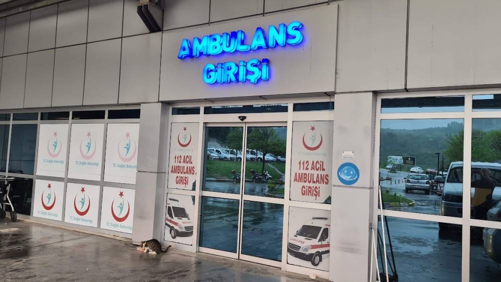 Arı sokması sonucu yoğun bakıma kaldırıldı
