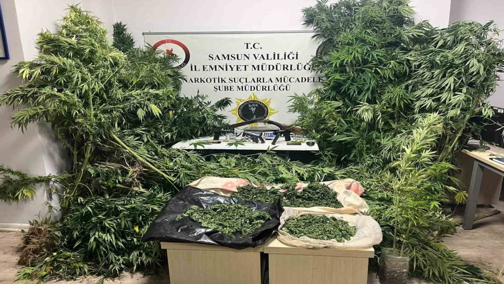 Polis havadan iz s&uuml;rd&uuml;: T&uuml;t&uuml;nlerin arasında 502 k&ouml;k kenevir ele ge&ccedil;ti

