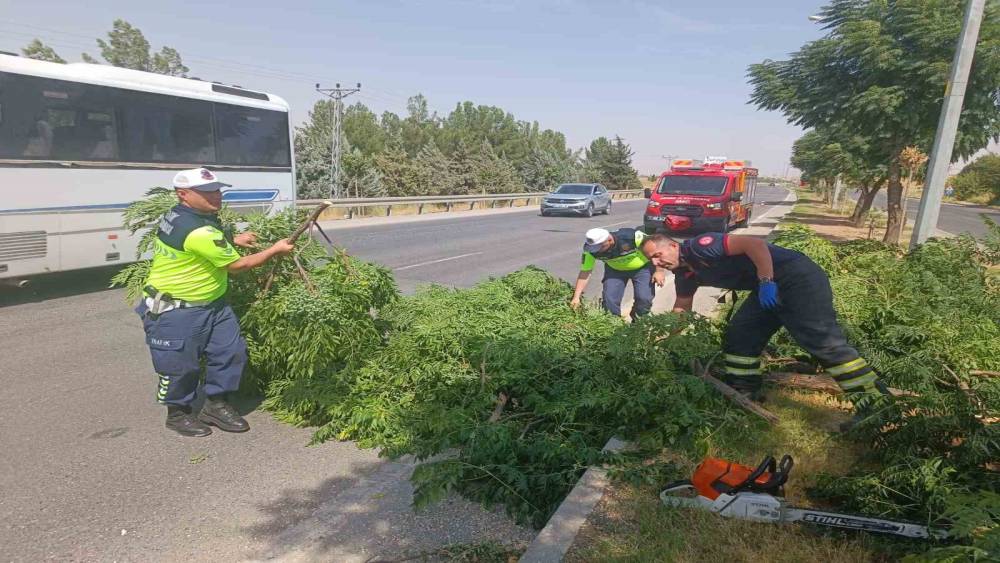 Kuvvetli r&uuml;zgar ağacı devirdi
