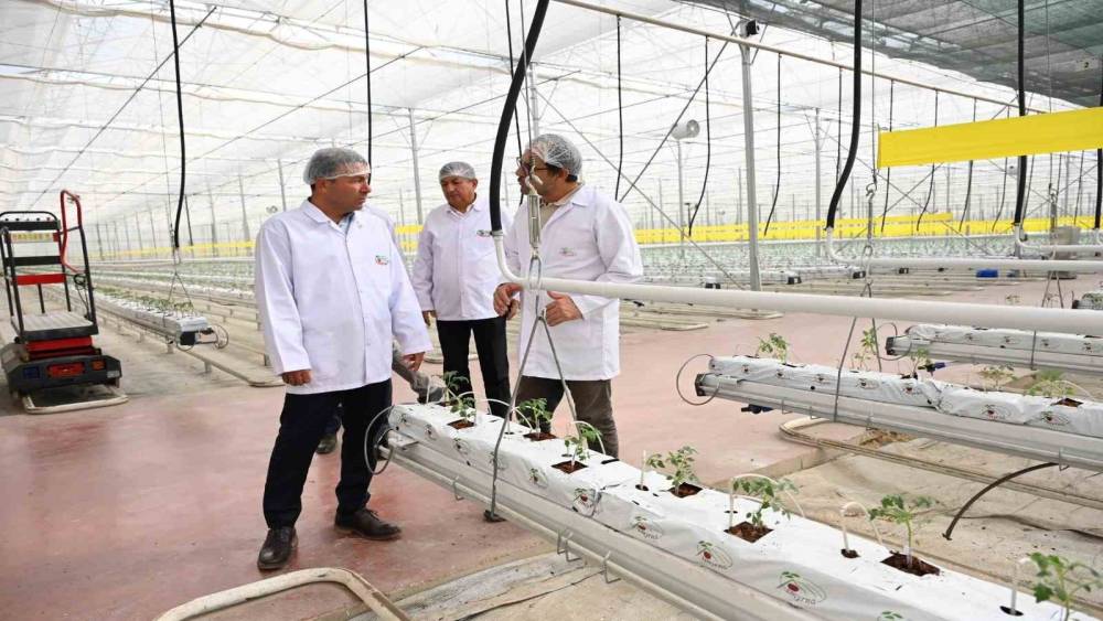 Denizli&rsquo;nin 2025 bitkisel &uuml;retim tablosu y&uuml;z g&uuml;ld&uuml;rd&uuml;
