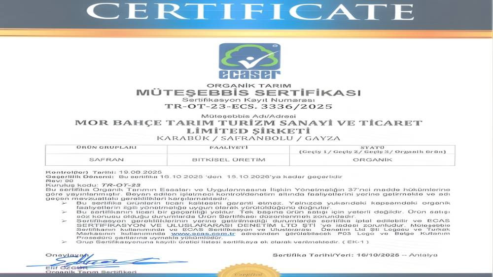 BAKKA destekleriyle safran &uuml;retiminde organik &uuml;retime ge&ccedil;ildi

