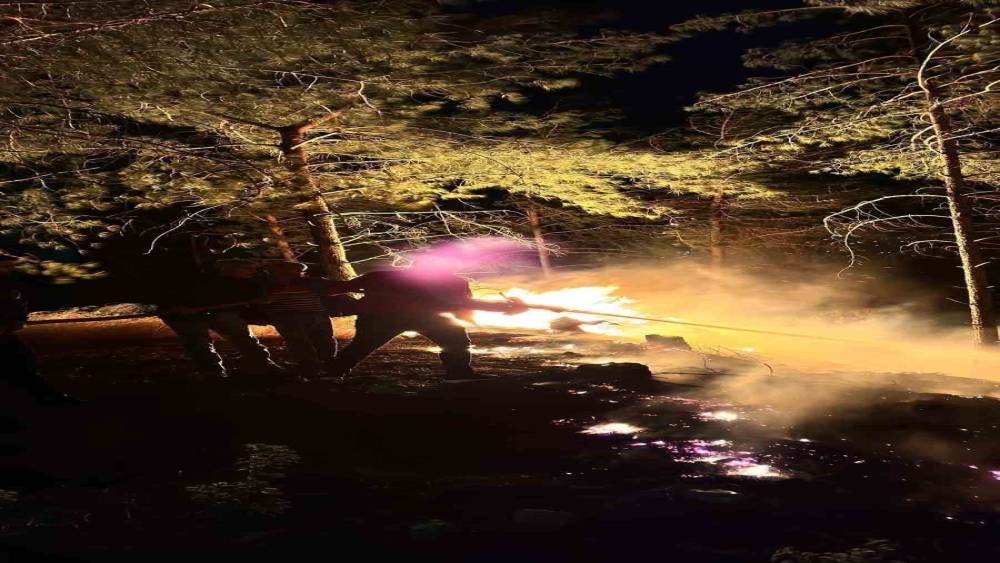 Hatay&rsquo;da ormanlık alanda &ccedil;ıkan yangın b&uuml;y&uuml;meden s&ouml;nd&uuml;r&uuml;ld&uuml;
