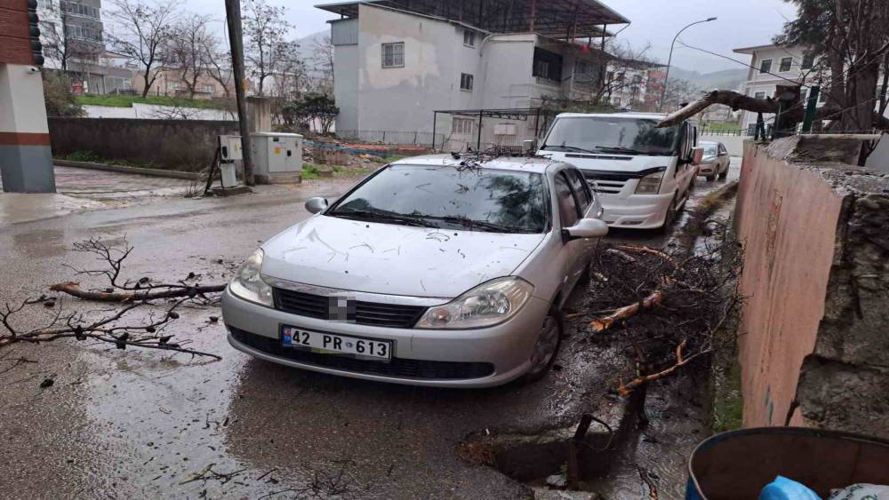 Yağmur ve şiddetli r&uuml;zgar &ccedil;am ağacını devirdi, otomobil zarar g&ouml;rd&uuml;
