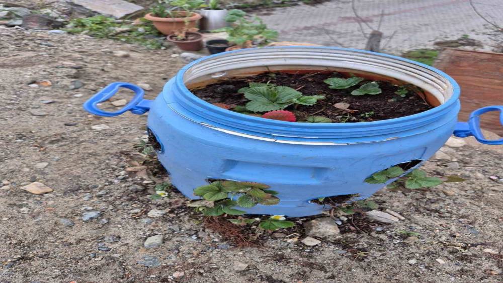 Buldanlı &uuml;reticiler atık malzemeleri tarımda değerlendiriyor
