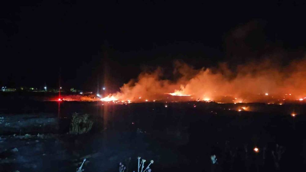 Burhaniye&rsquo;de korkutan &ouml;rt&uuml; yangını
