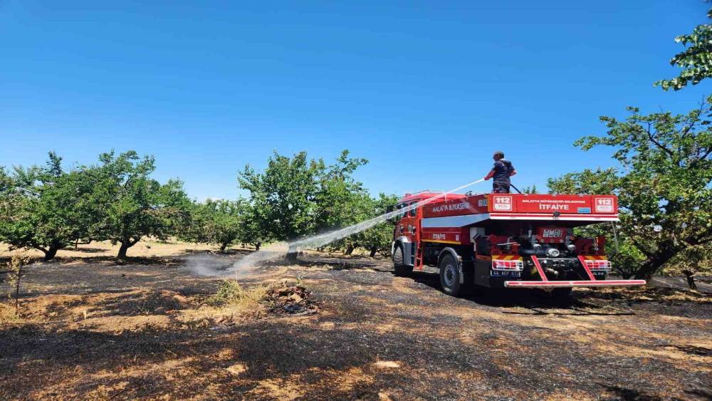 Malatya&rsquo;da bah&ccedil;e ve orman yangını
