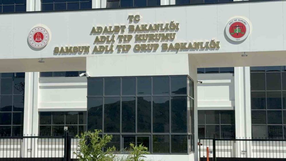 Ihlamur ağacından d&uuml;şen yaşlı adam hayatını kaybetti
