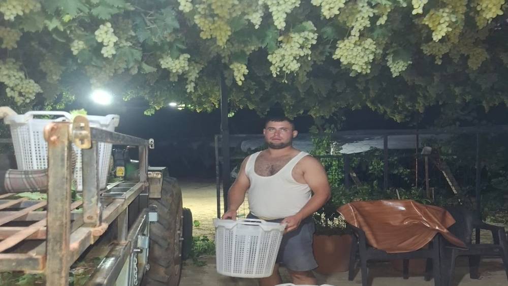 Sarıg&ouml;l&rsquo;de &uuml;z&uuml;m i&ccedil;in gece mesaisi
