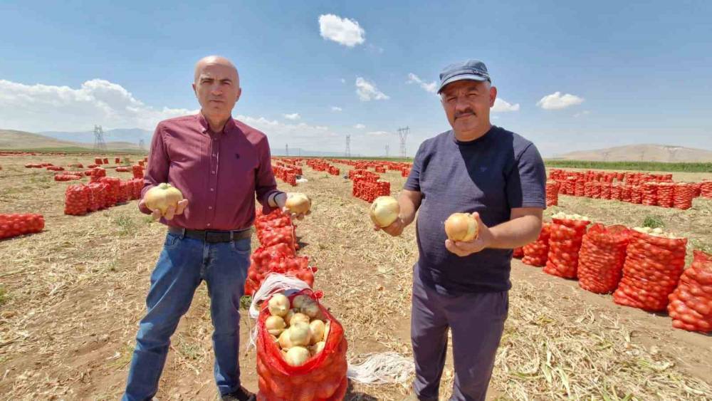 Karaman&rsquo;da yazlık soğan &uuml;reticisinin y&uuml;z&uuml;n&uuml; g&uuml;ld&uuml;r&uuml;yor
