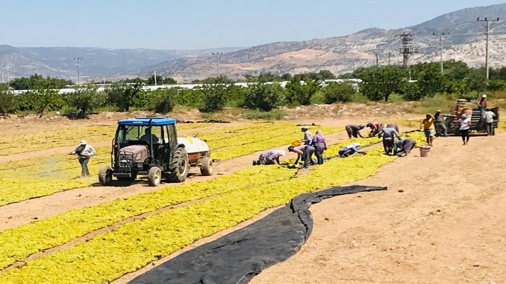 &Uuml;z&uuml;m &uuml;reticilerinin sorunlarını Cumhurbaşkanlığına aktarıldı
