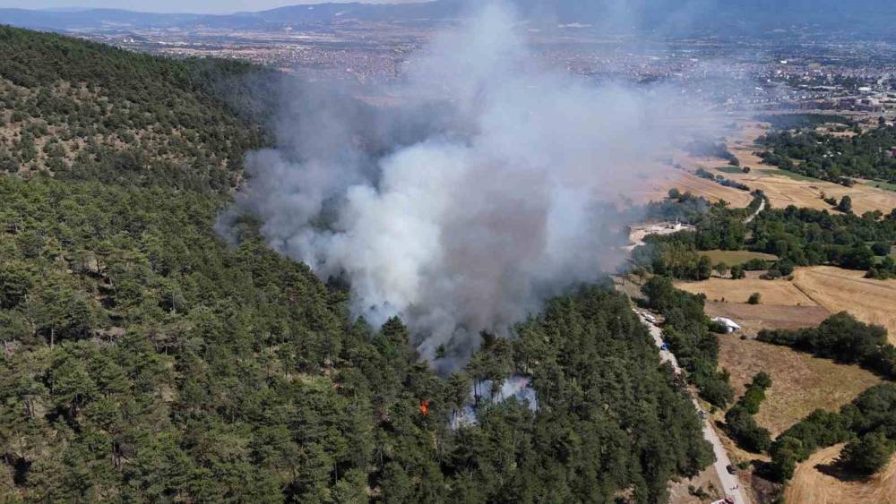 Bolu&rsquo;da orman yangını başladı
