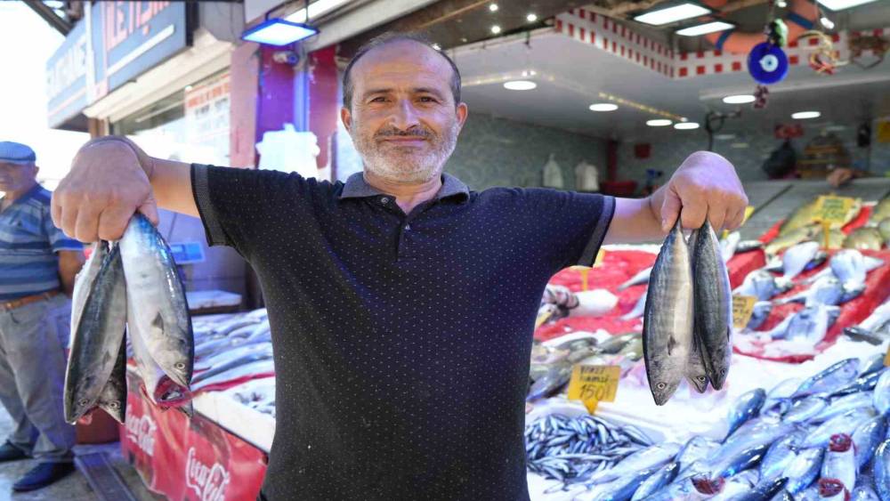 Yıllardır b&ouml;ylesi g&ouml;r&uuml;lmedi: Karadeniz&rsquo;den palamut fışkırıyor
