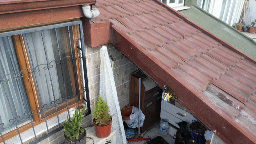 Sultangazi&rsquo;de &ccedil;atı katını arılar bastı: Arıların soktuğu kadın hastanelik oldu
