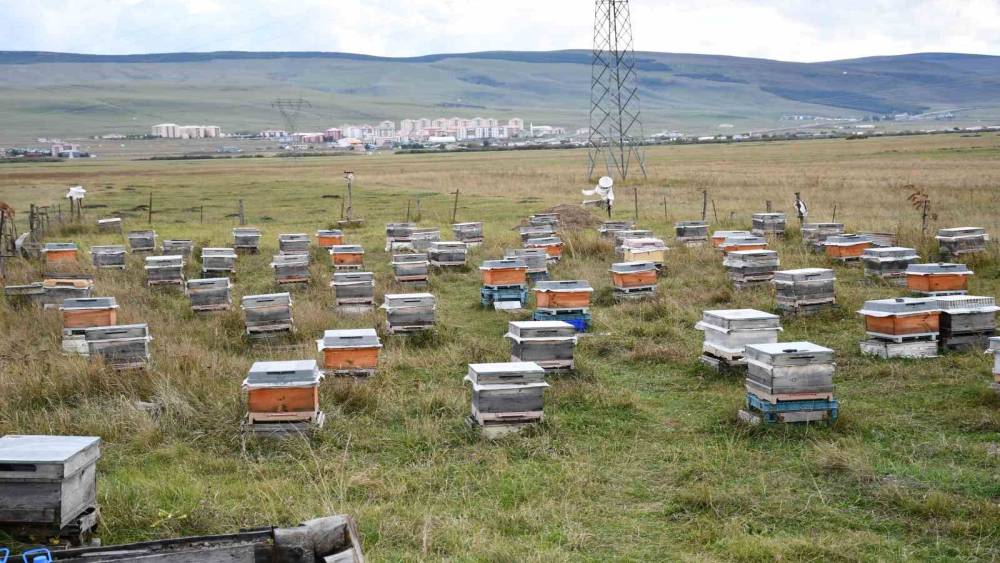 Ardahan&rsquo;da bal hasadı bitti, 2027 sezonu i&ccedil;in kış hazırlıkları başladı
