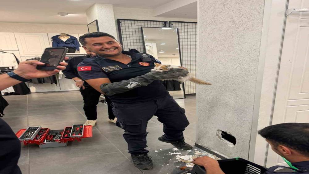 İtfaiye ekipleri duvarda mahsur kalan kedi ile parmaklıklara sıkışan k&ouml;peği kurtardı
