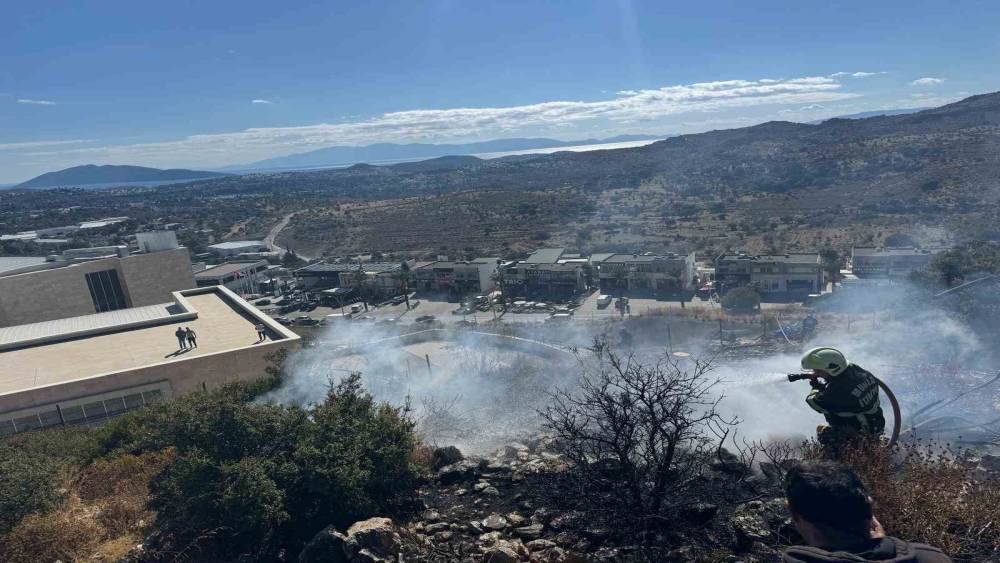 Bodrum&rsquo;da alevler makilik alana yayıldı
