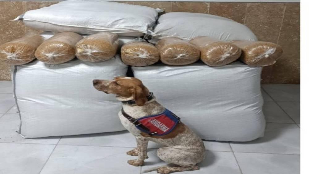 Kırşehir’de yolcu otobüsünde 400 kilogram kaçak tütün ele geçirildi
